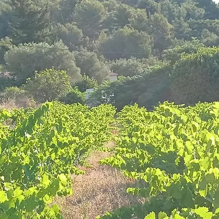 Maison A La Naronne * Bandol
